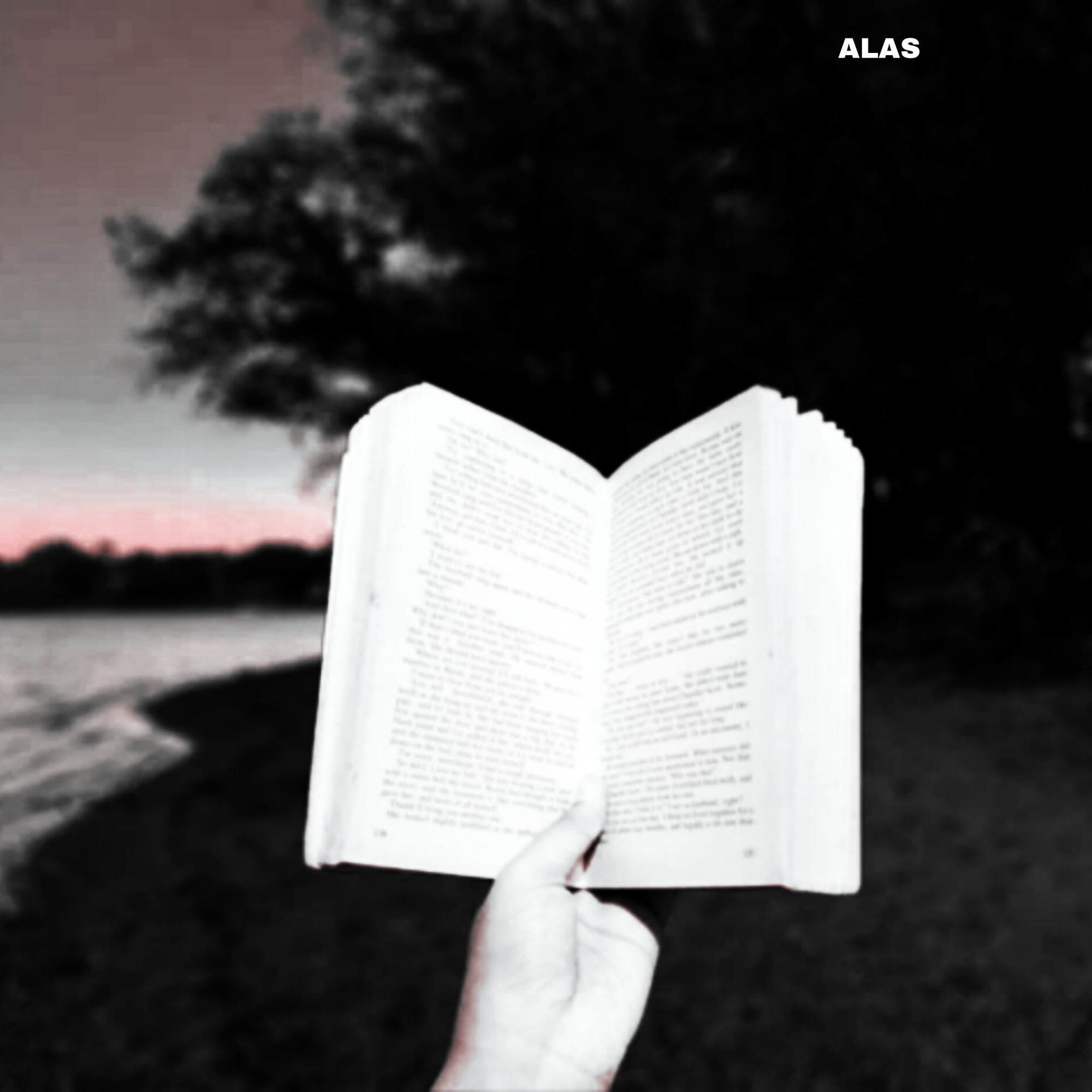 Album cover of Alas