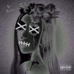 Cover of No More