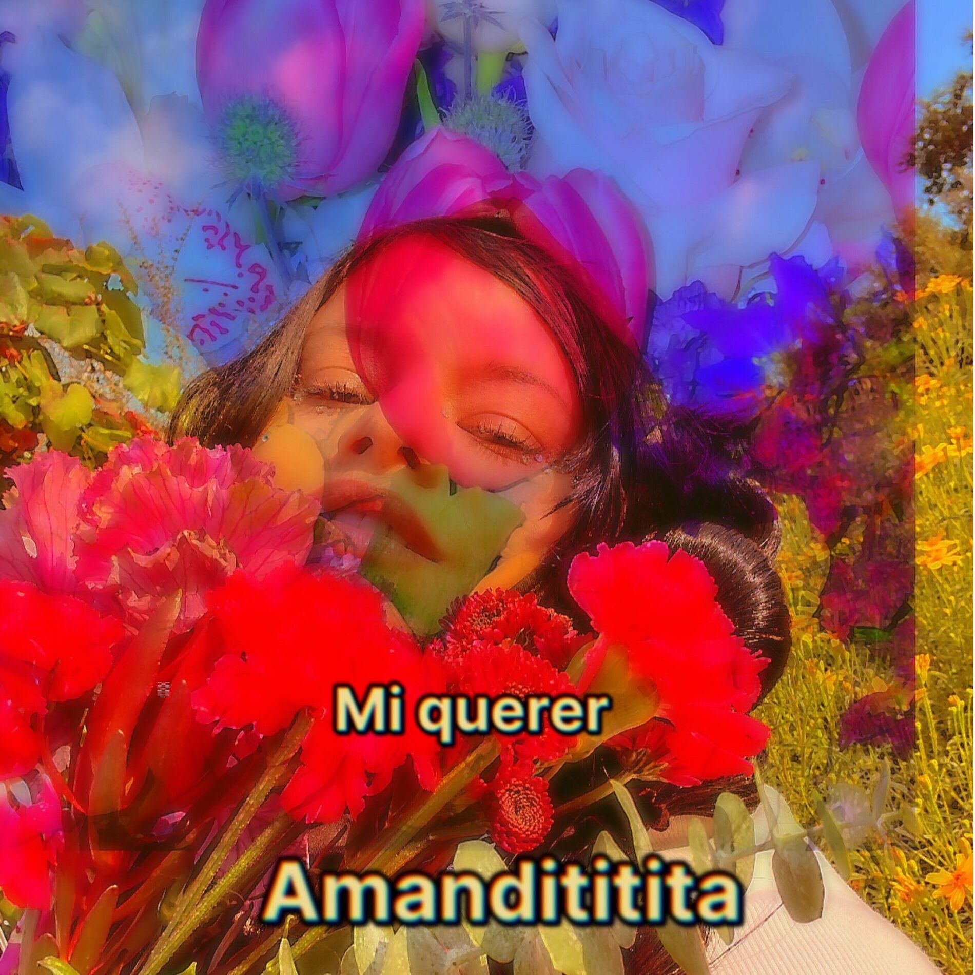 Album cover of Mi Querer
