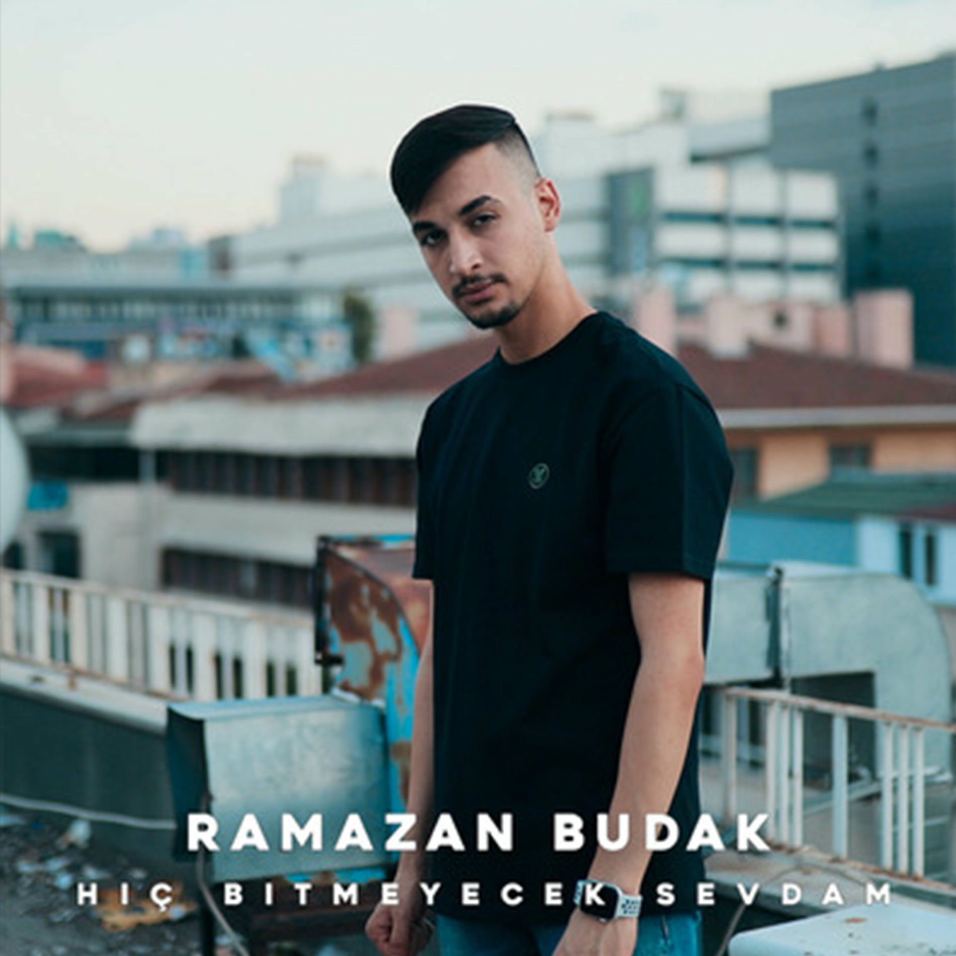 Album cover of Hiç Bitmeyecek Sevdam