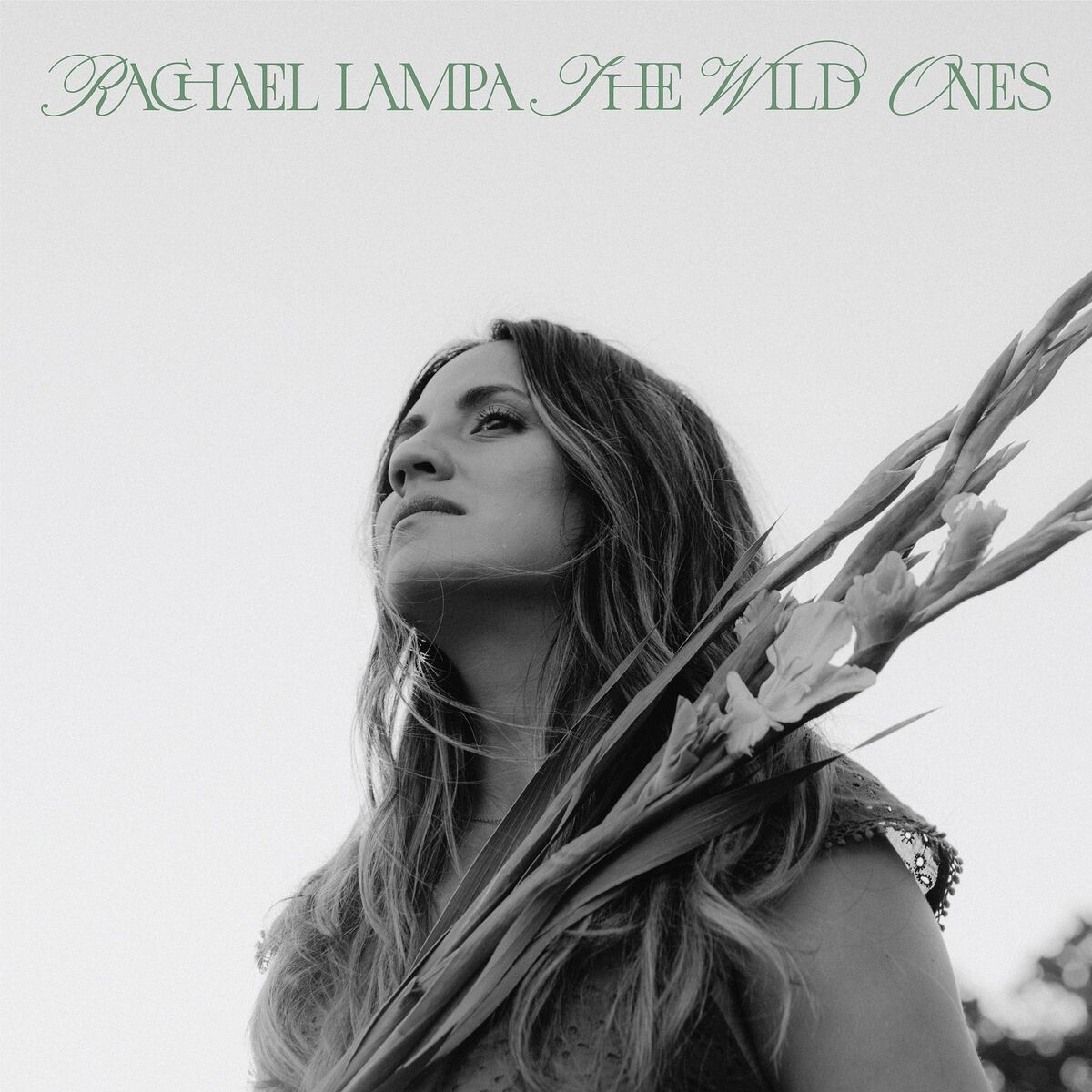 Album cover of The Wild Ones