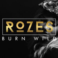 Cover of Burn Wild