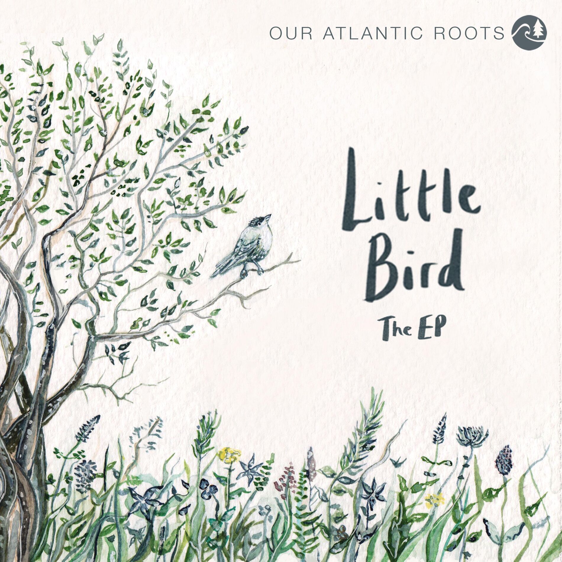 Album cover of Little Bird (The EP)