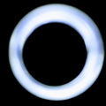 Echo