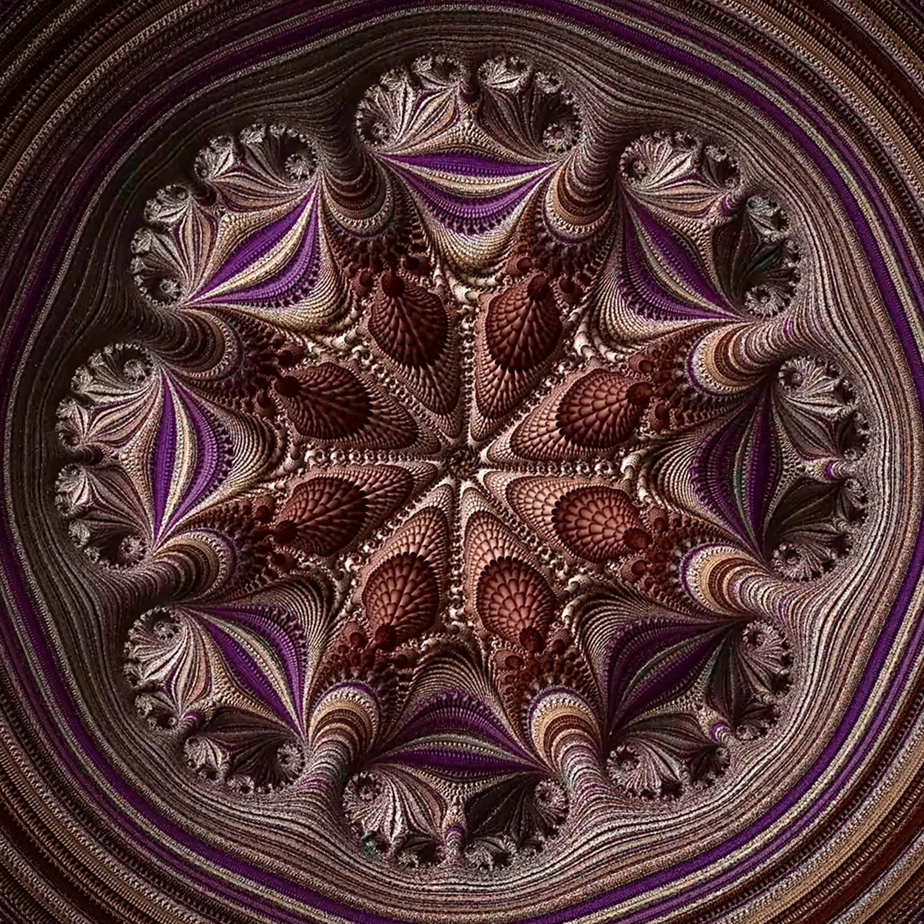 Album cover of Stay Young