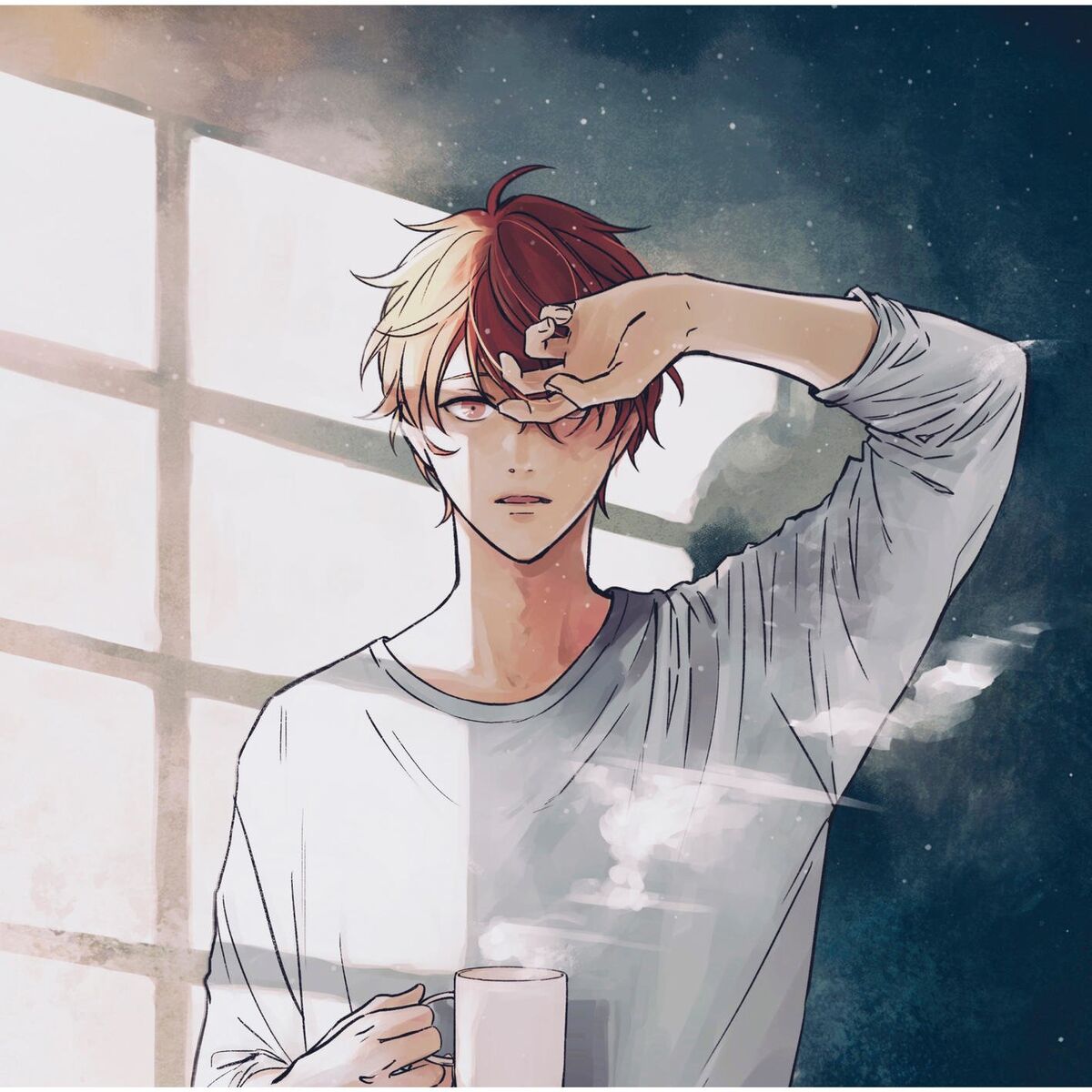 Album cover of Fuyunohanashi
