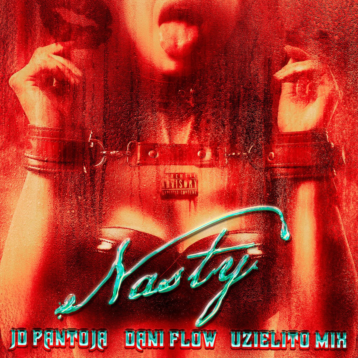 Album cover of Nasty