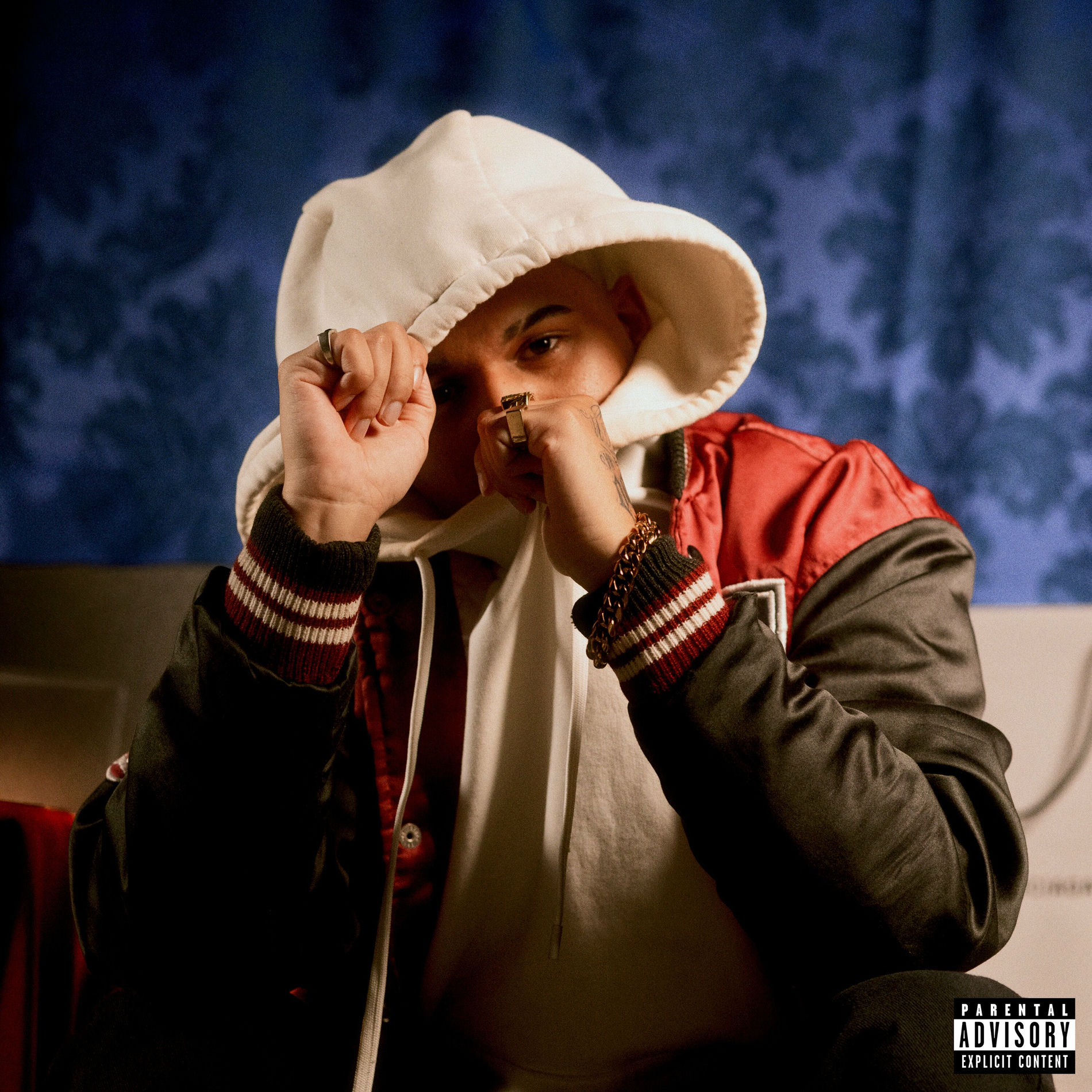 Album cover of Novo Rico