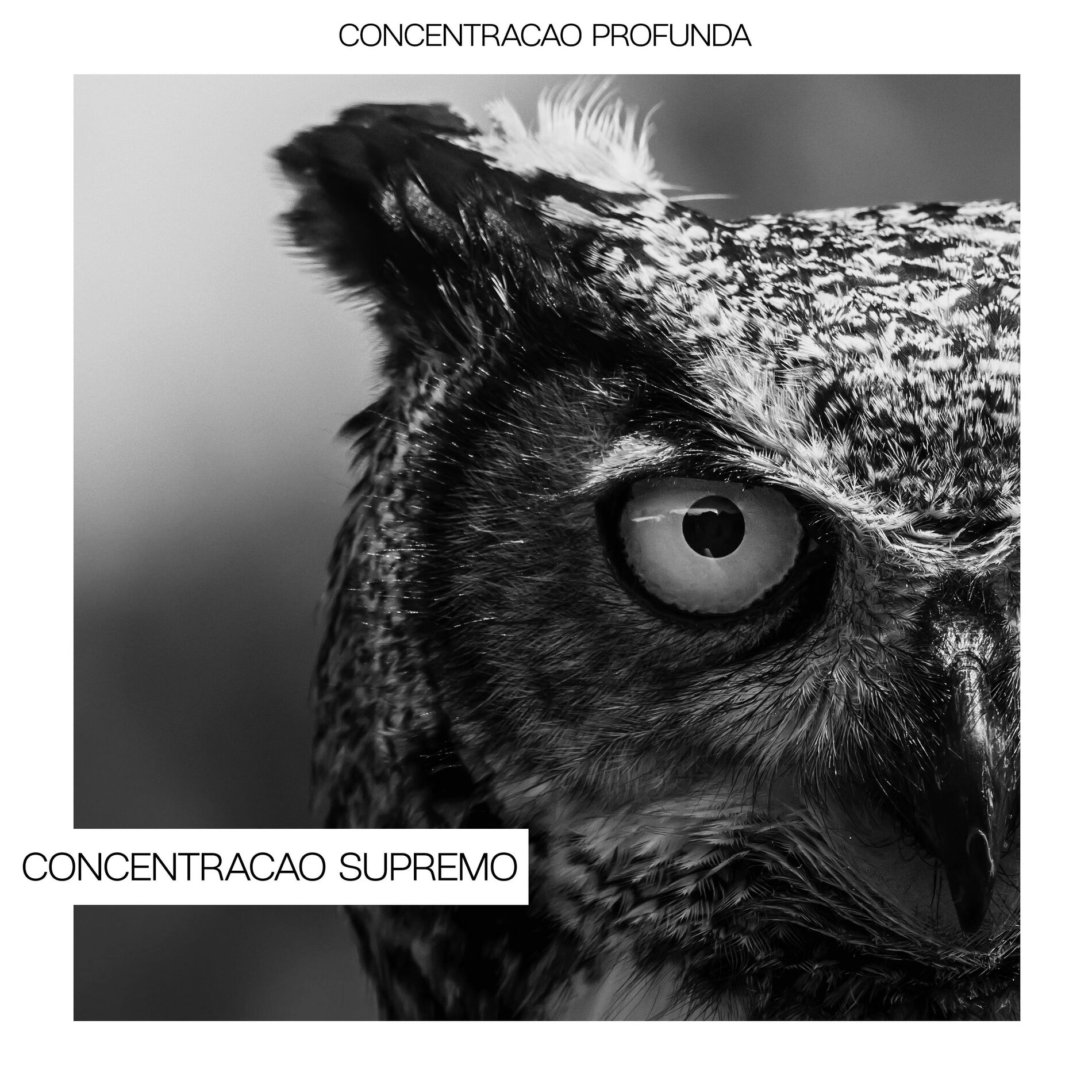 Album cover of Concentracao Supremo