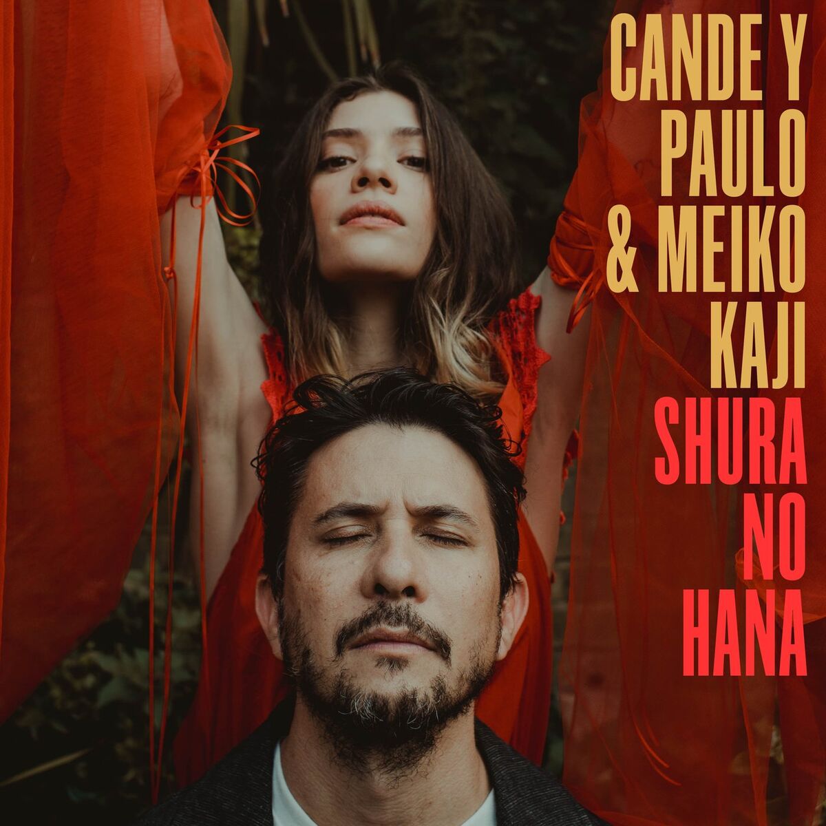 Album cover of Shura No Hana