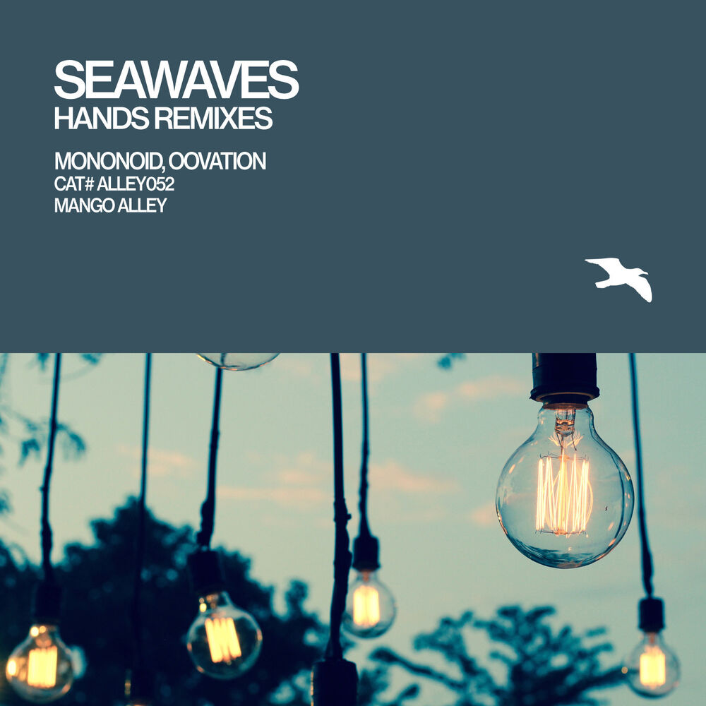 Picture of Hands Remixes