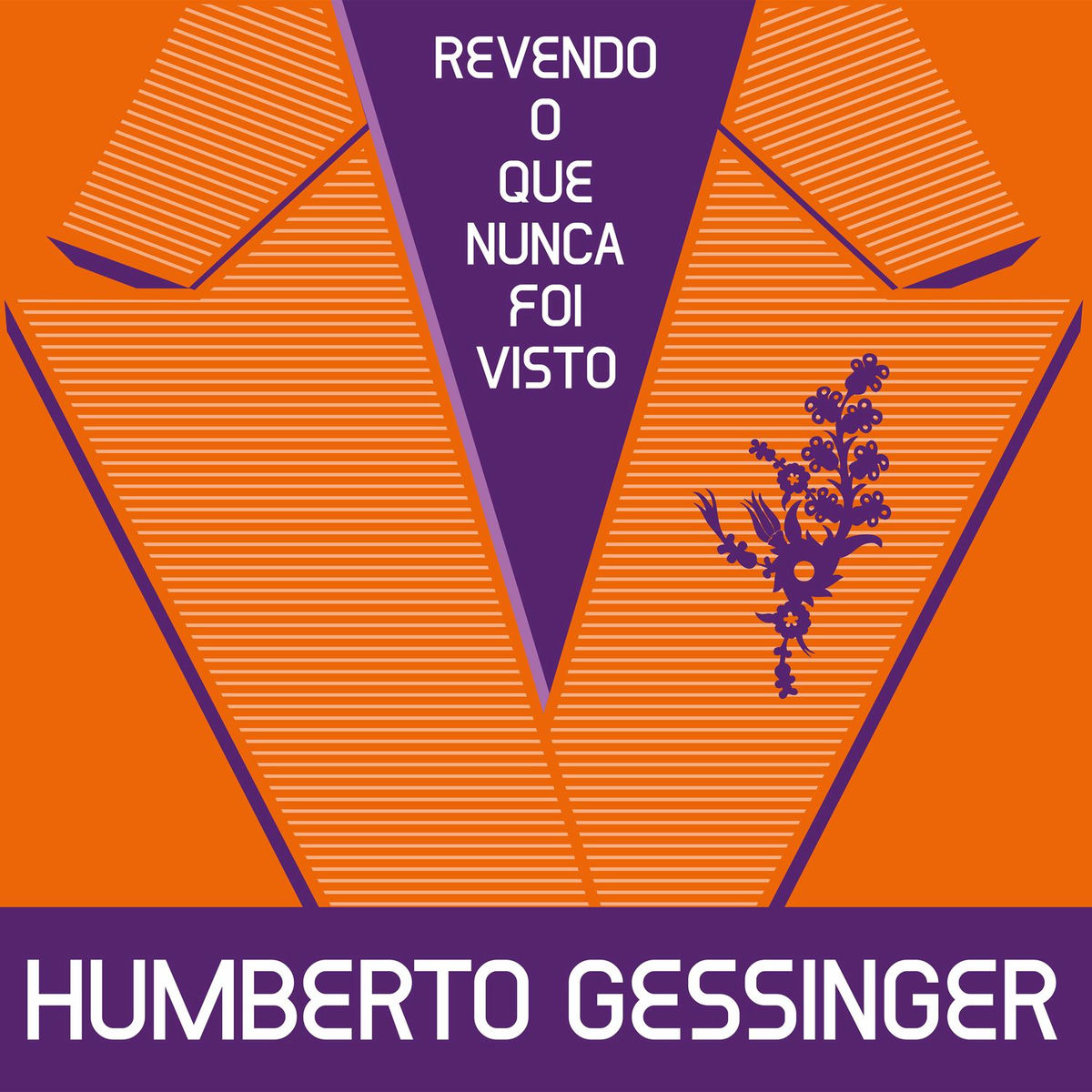 Album cover of Revendo O Que Nunca Foi Visto
