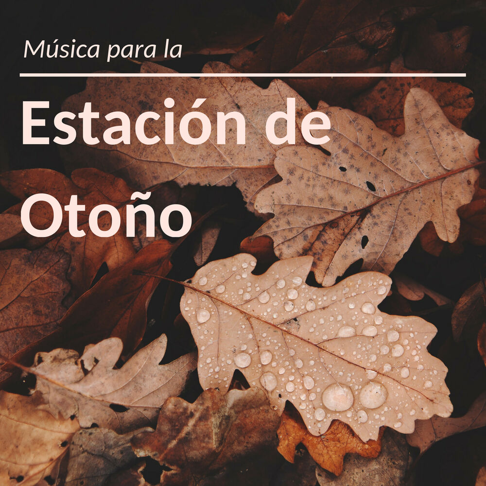 Picture of Música para la Estación de Otoño - Las Mejores Canciones Relajantes Alegrarse con la Llegada del Otoño