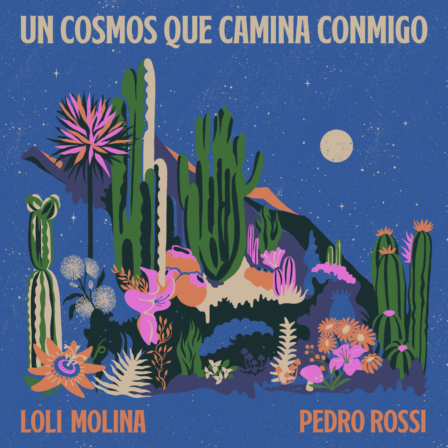 Album cover of Un cosmos que camina conmigo