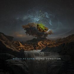 Cover of Sound Condition