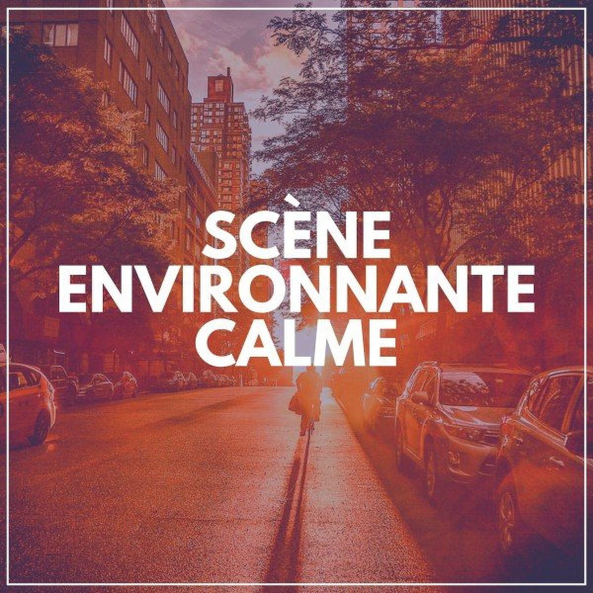 Album cover of Scène Environnante Calme