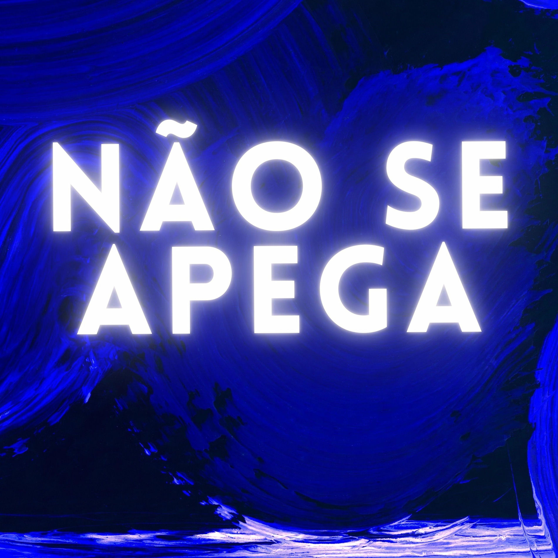 Album cover of Não Se Apega