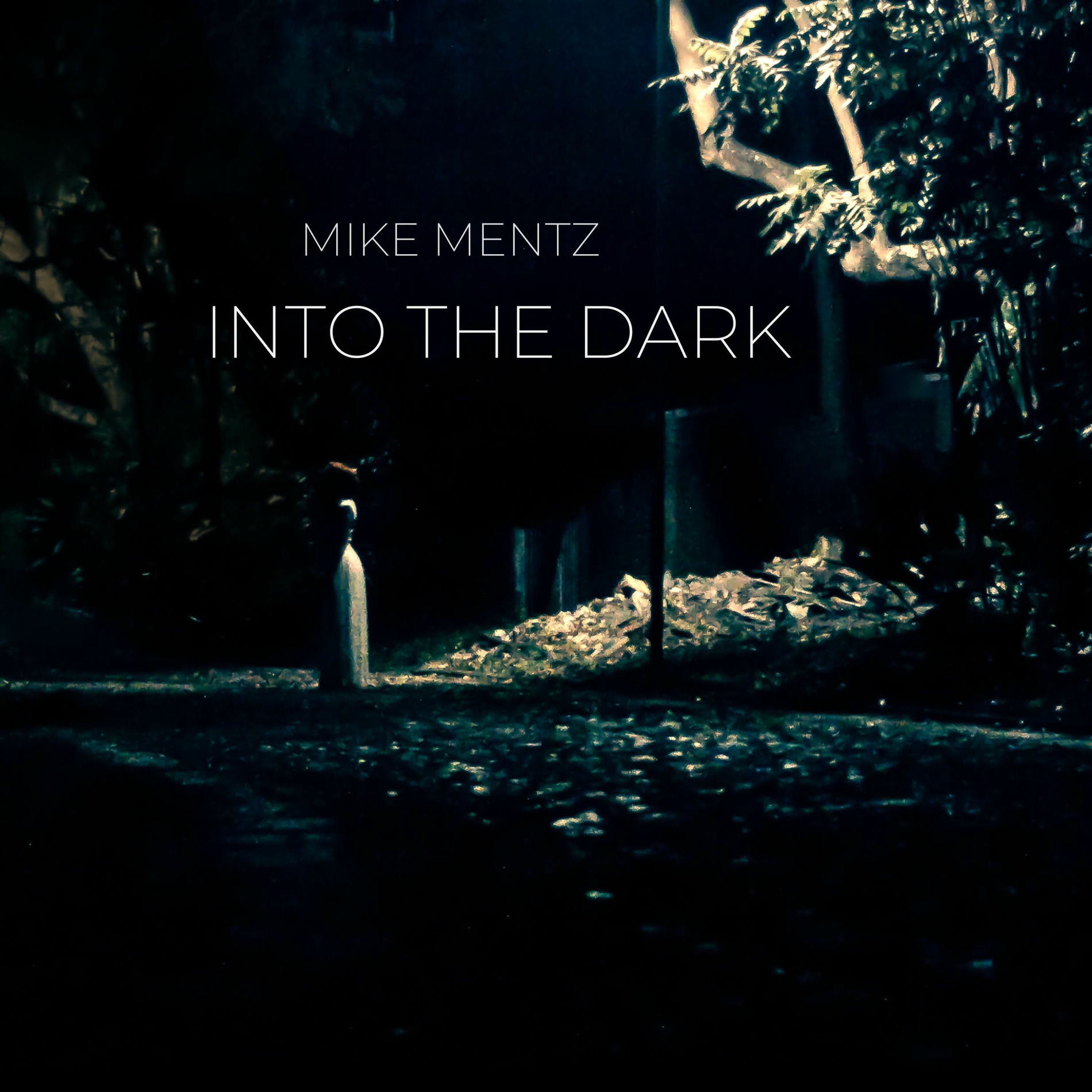 Album cover of Into The Dark