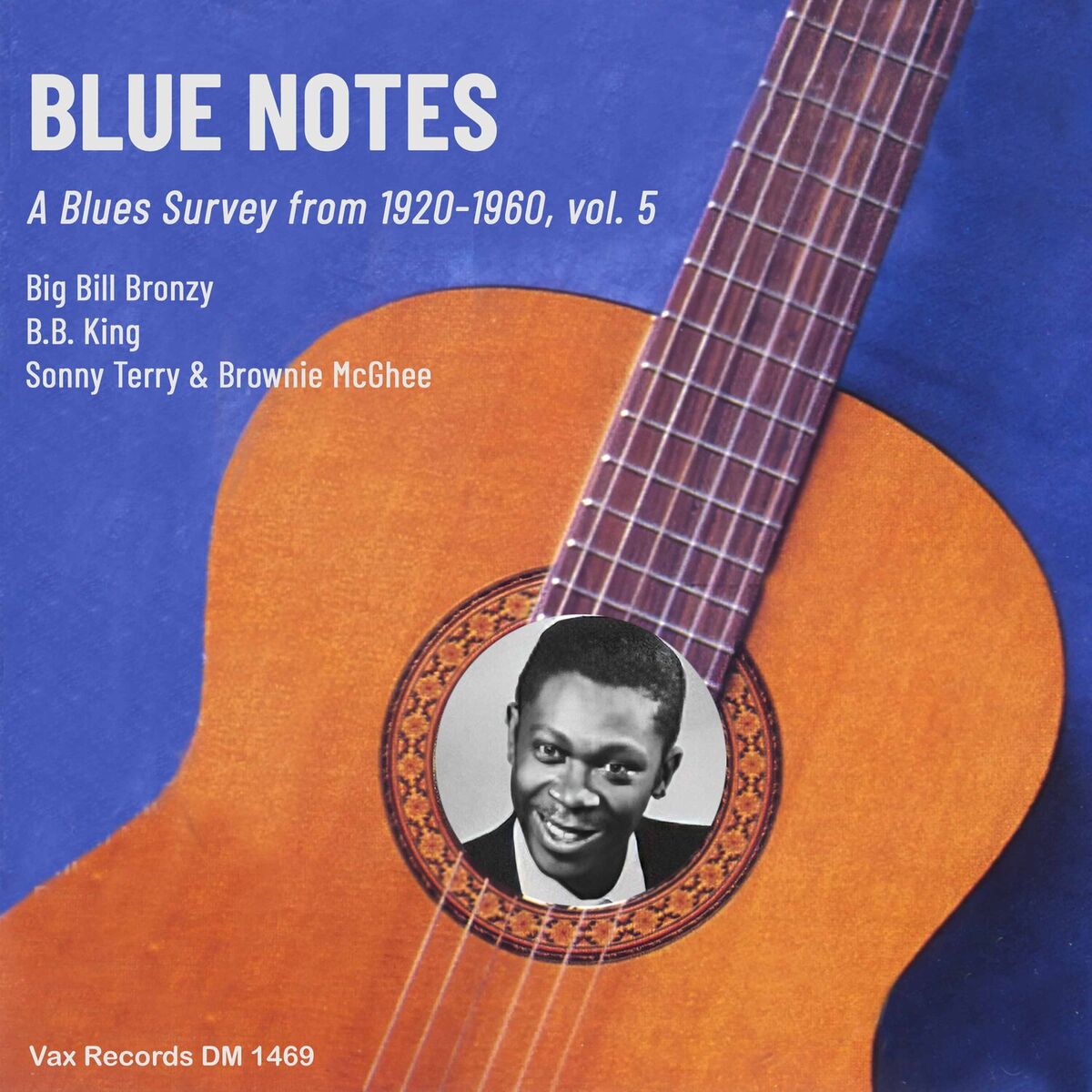 Album cover of Blue Notes – A Blues Survey from 1920-1960, vol. 5