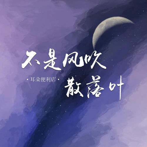 不是风吹散落叶