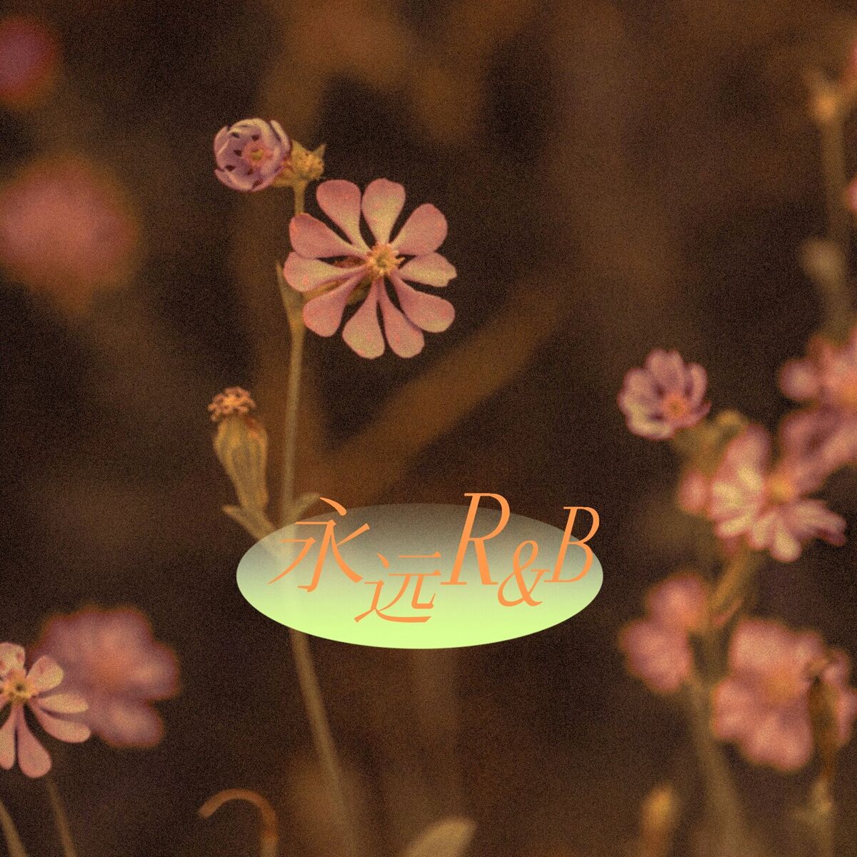 Album cover of 永远R&B