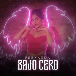 Cover of Bajo Cero
