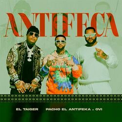 Cover of Antifeca