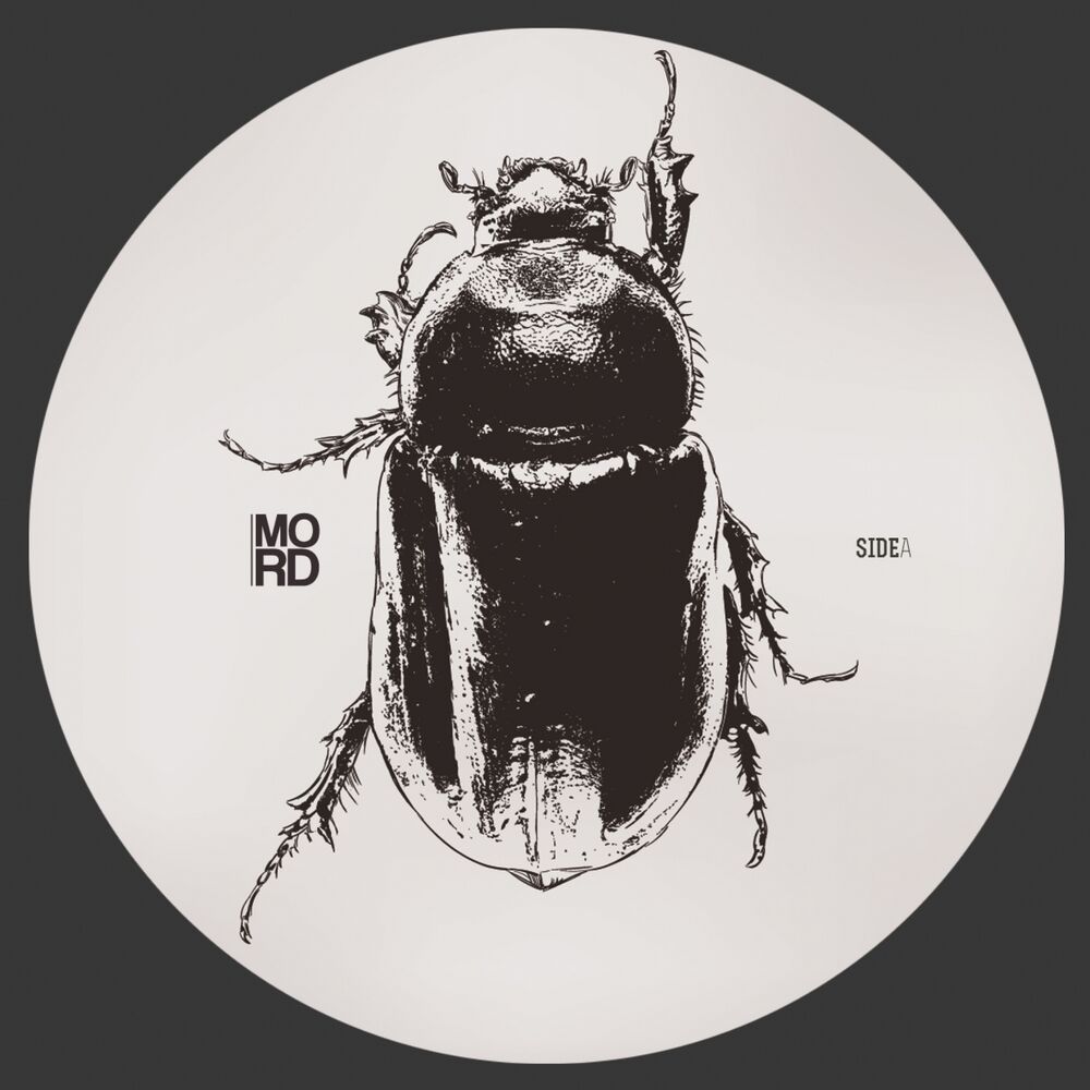 Picture of Anomalies EP
