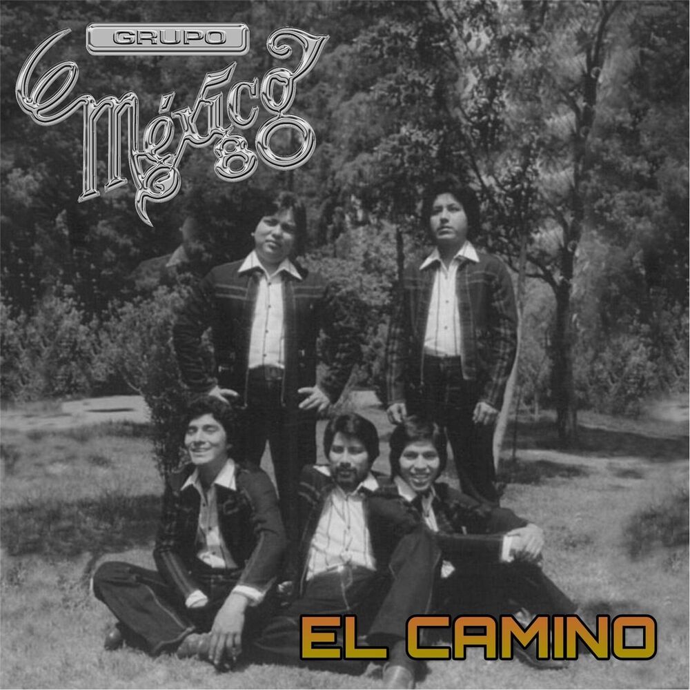Picture of El Camino
