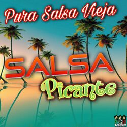 Cover of Pura Salsa Vieja