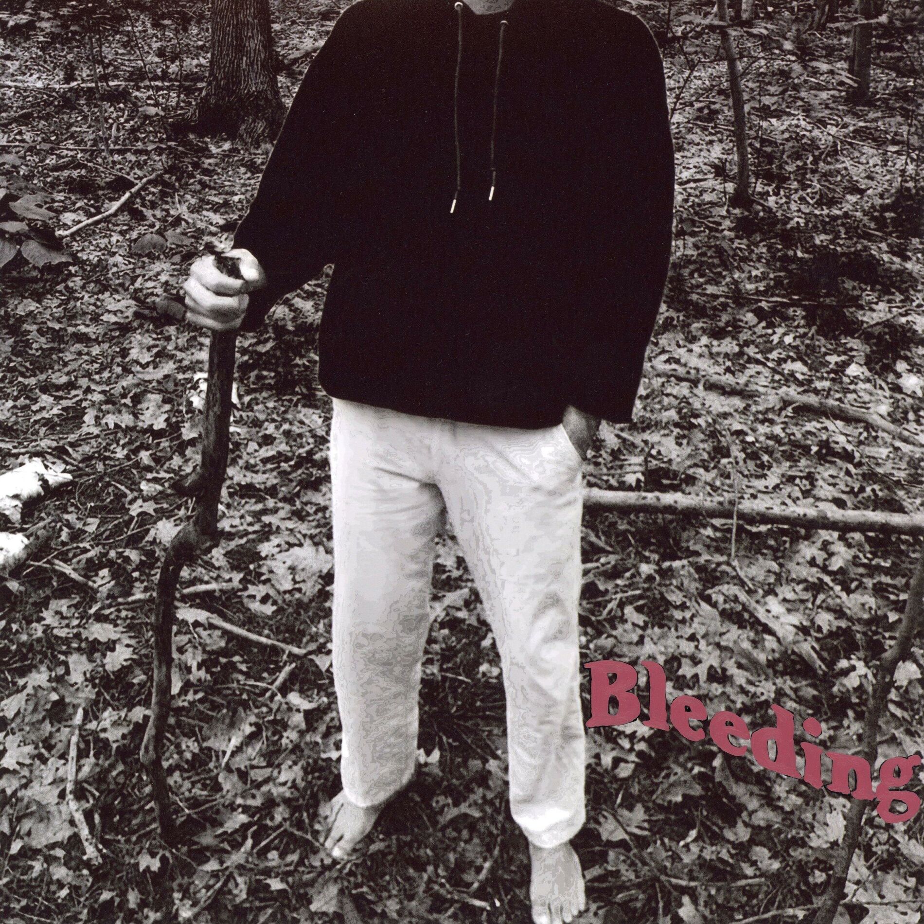 Album cover of Bleeding