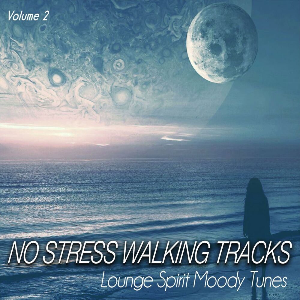 Picture of No Stress Walking S, Vol.2 - Lounge Spirit Moody Tunes (Album)