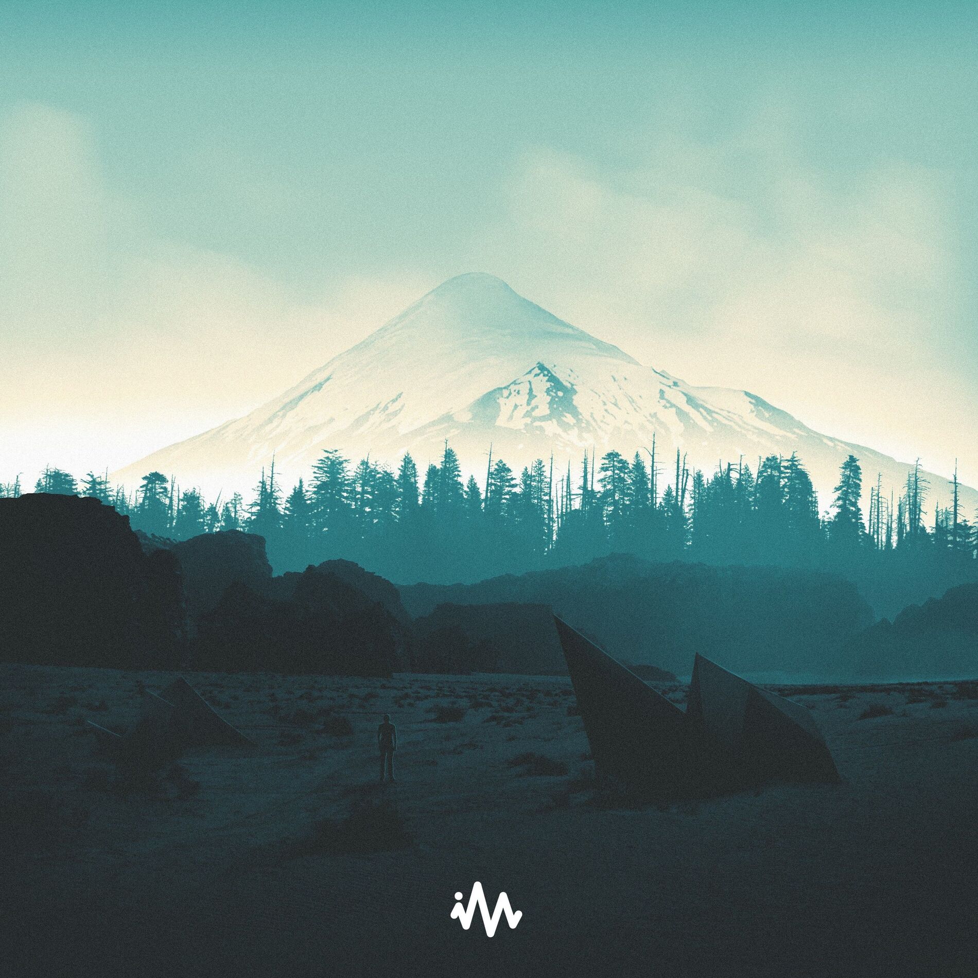 Album cover of Wonder