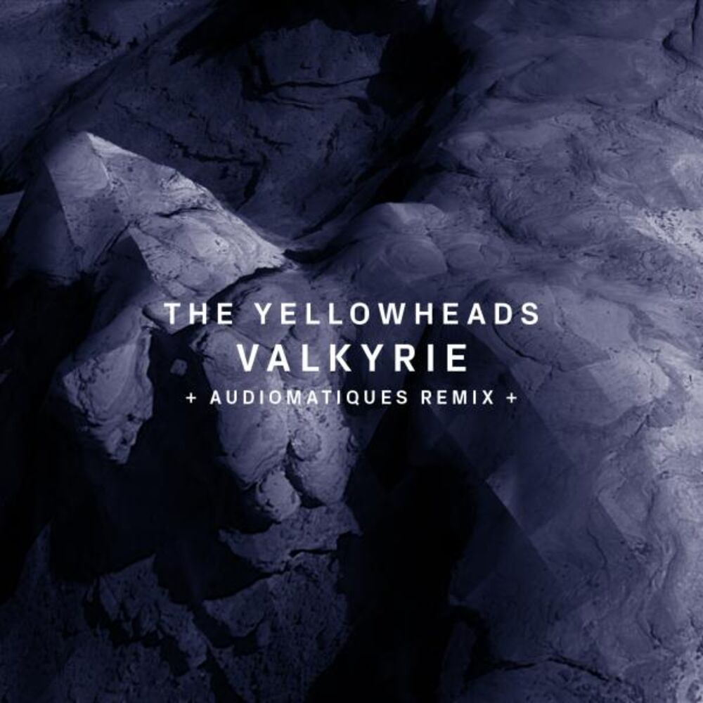 Picture of Valkyrie