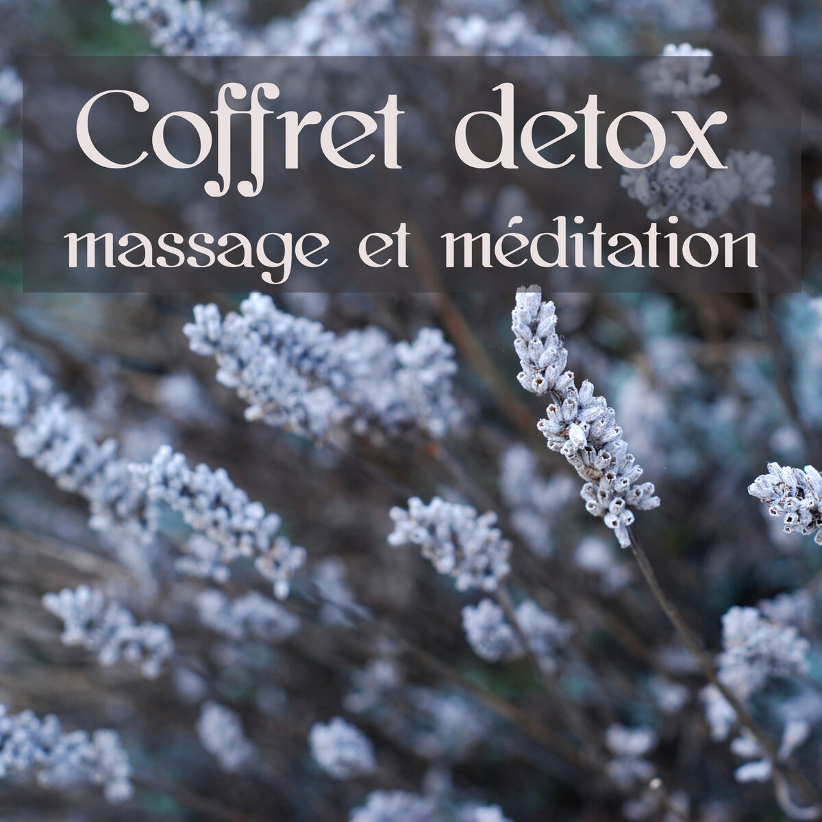 Album cover of Coffret detox massage et méditation: Musique d'ambiance pour les traitements de beauté