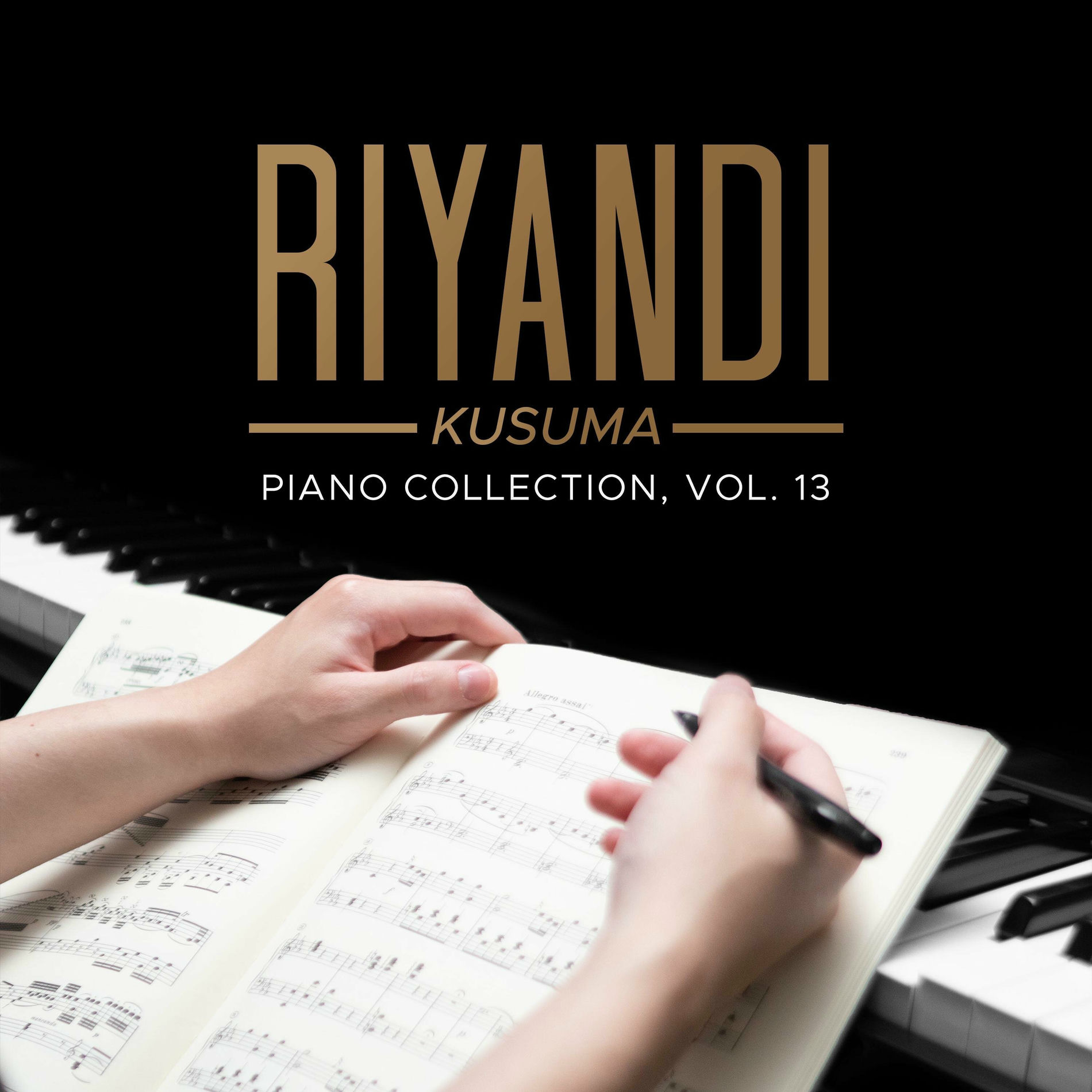 Album cover of Piano Collection, Vol. 13