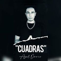 Cover of Cuadras