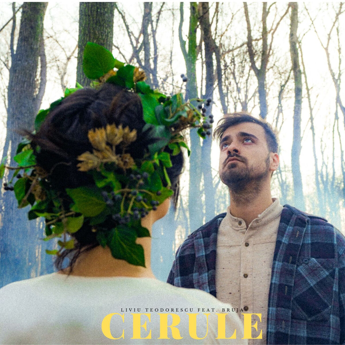 Album cover of Cerule