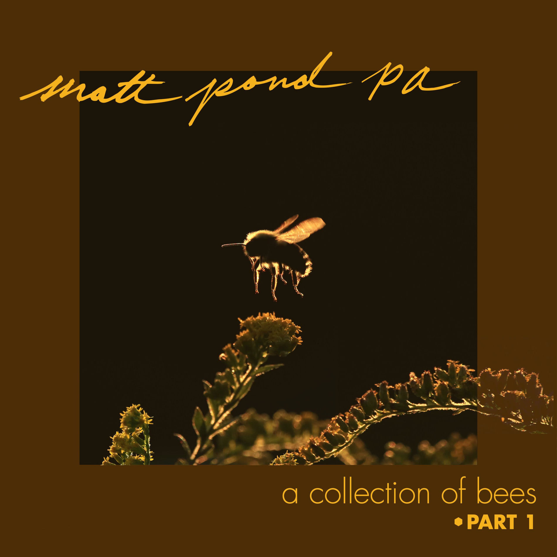 Album cover of A Collection of Bees, Pt. 1