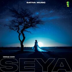 Cover of Seya (Sped Up)