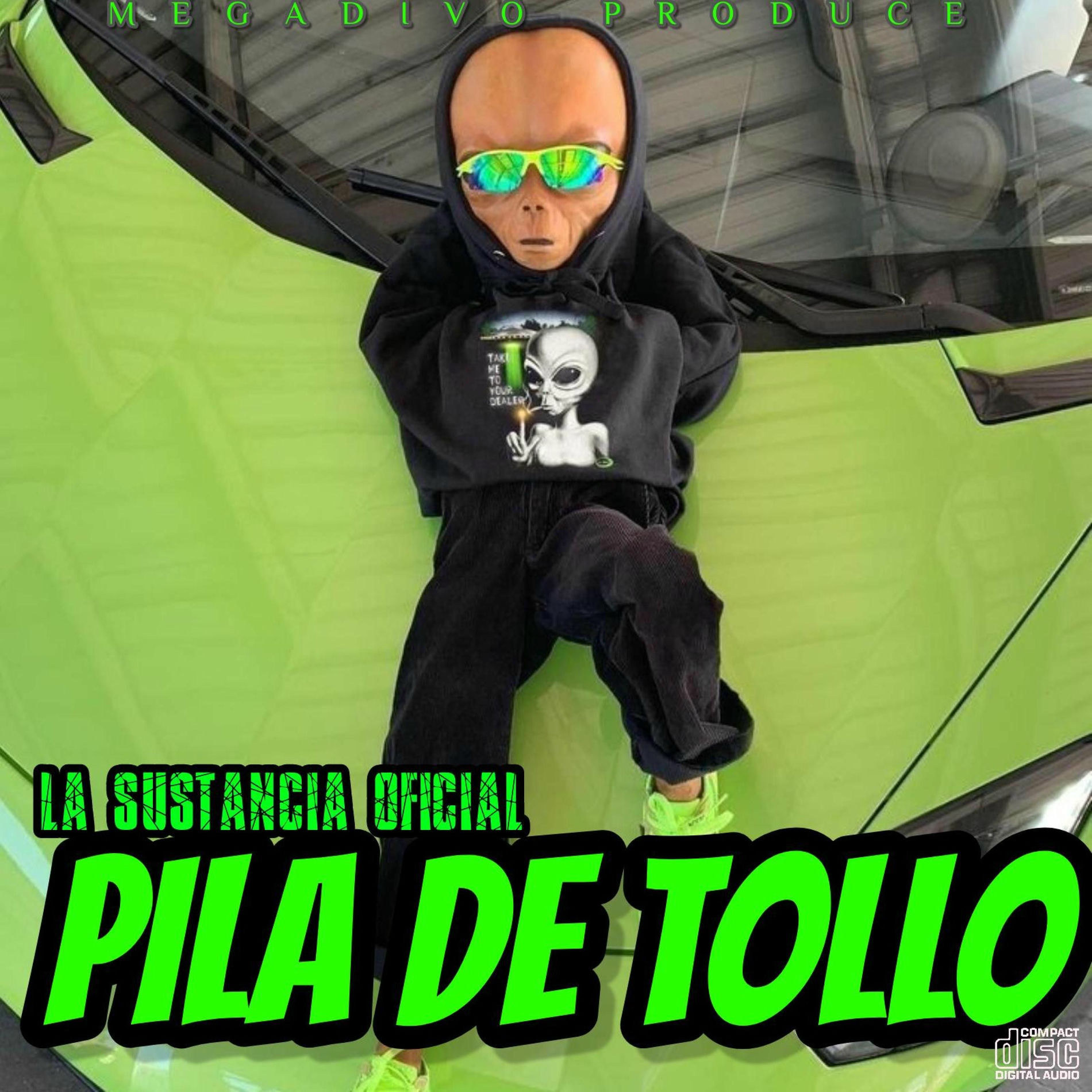 Album cover of Pila De Tollo (feat. Megadivo Produce)