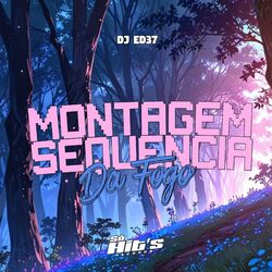 Cover of Montagem Sequencia da Fogo