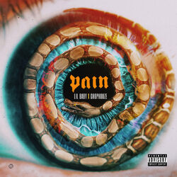 Cover of Pain