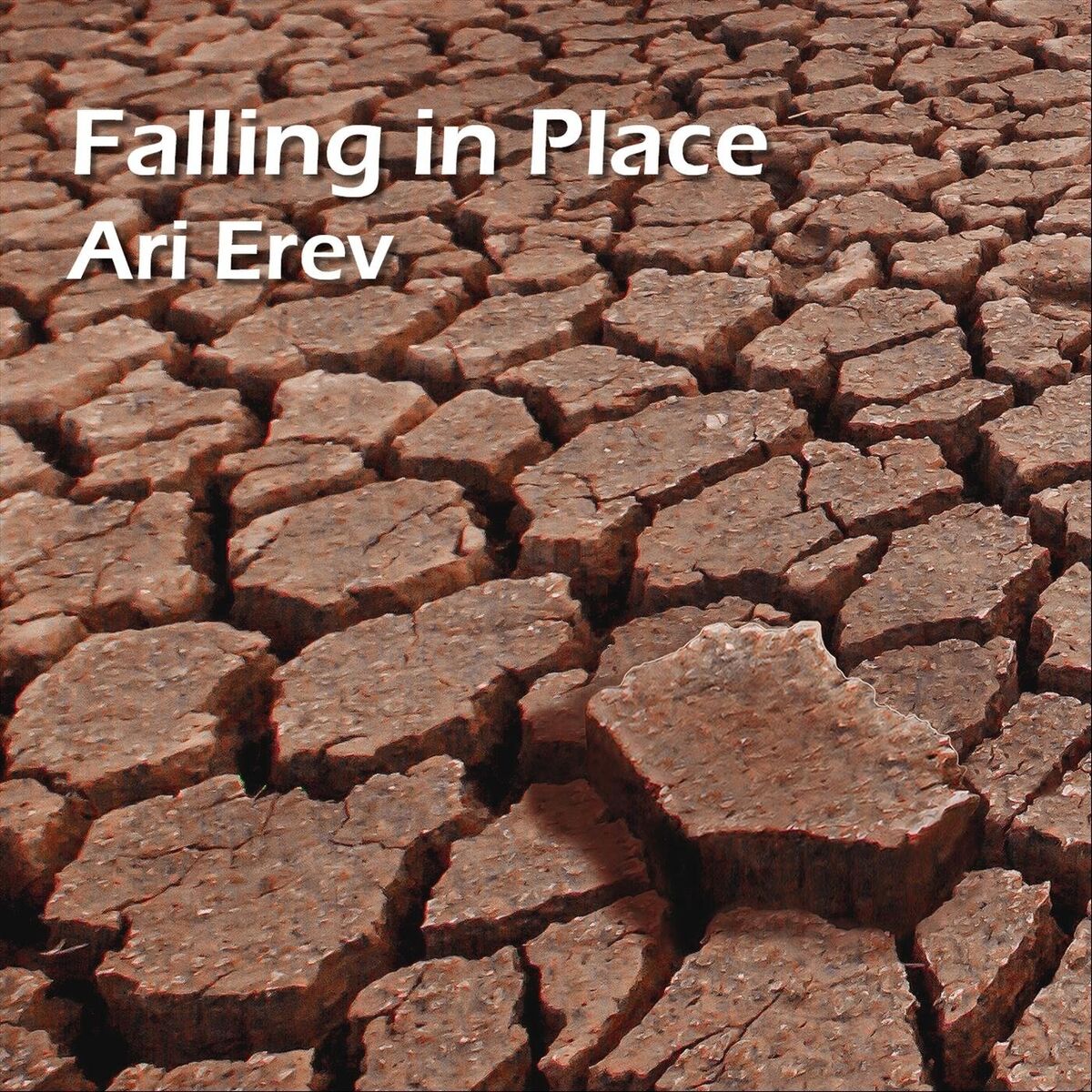 Album cover of Falling in Place