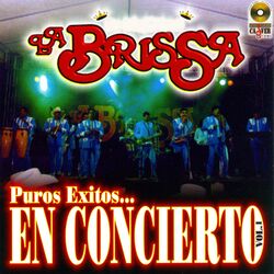 Cover of Puros Exitos en Concierto, Vol. 1