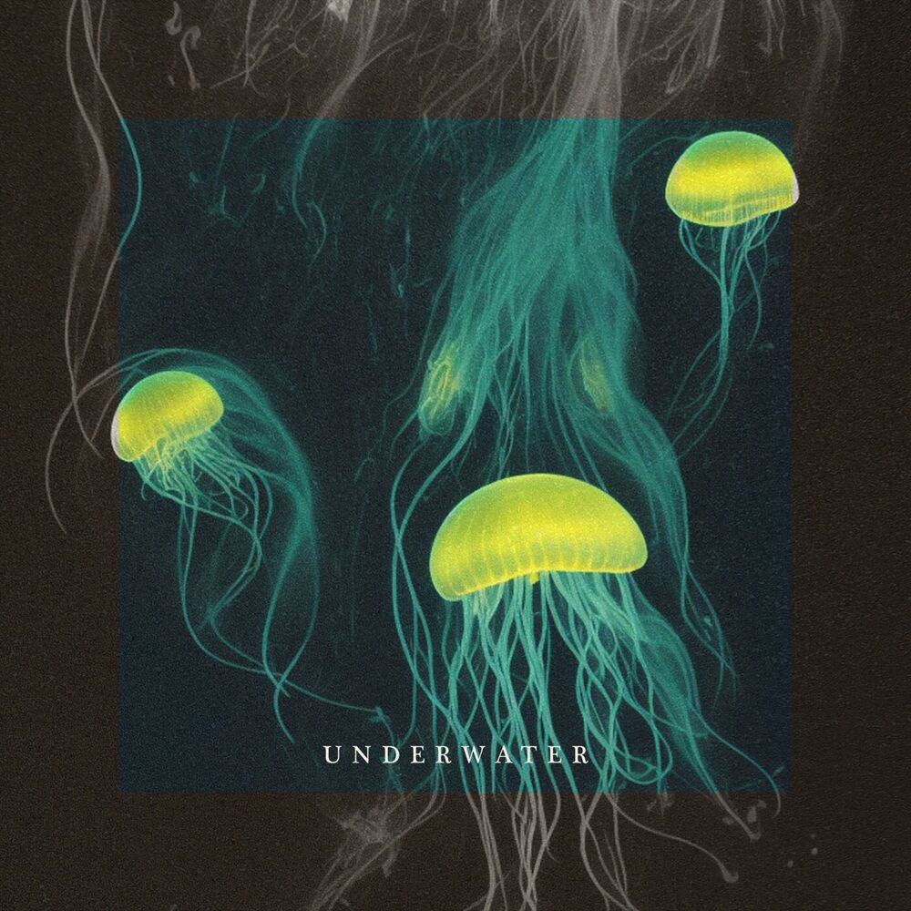 Picture of Underwater