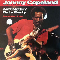 Cover of Ain't Nothin' But A Party (Live / 1987)