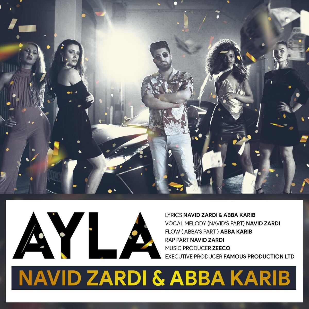 Album cover of Ayla