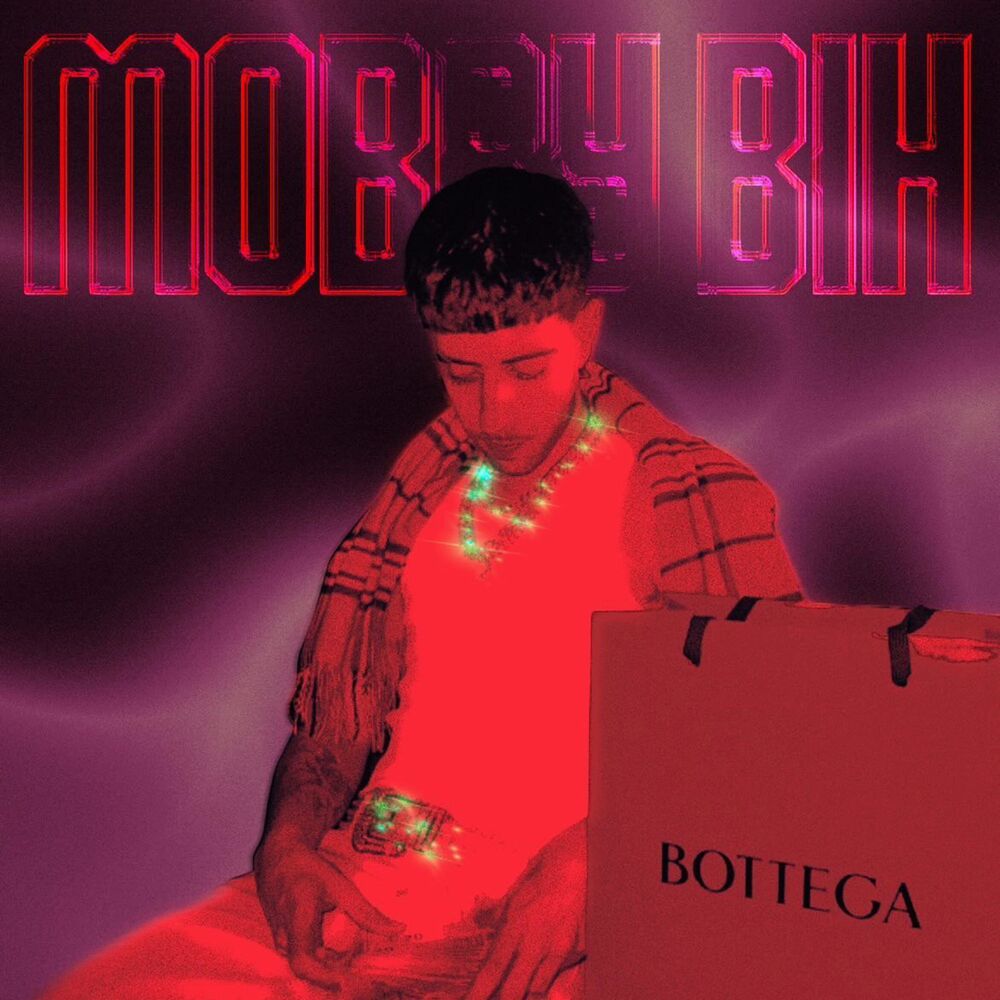 Picture of Mobby Bih
