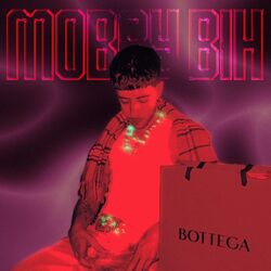 Cover of Mobby Bih